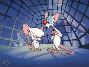 pinky-and-the-brain