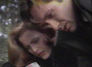 "Mulder, is it okay if I make another pointed remark about this search for your sister again?"