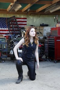 Agents Shield Lorelei