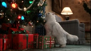 Christmas-Vacation-Fried-Cat