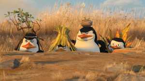 Penguins of Madasgar