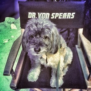 Guardians of the Galaxy Dog