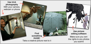 6a0105368f4fef970b015436901deb970c-800wi