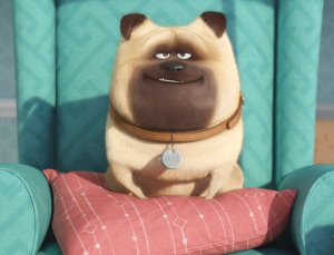 Secret-Lives-of-Pets-Still-6