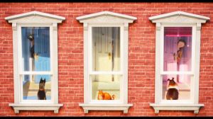 29906170001_4870822538001_video-still-for-video-4870784446001