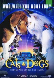 cats_and_dogs_ver3