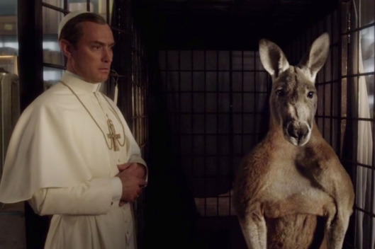 12-young-pope-kangaroo-w529-h352